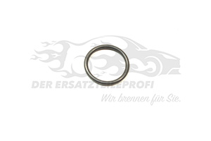Dichtung für Ölleitung (O-Ring)