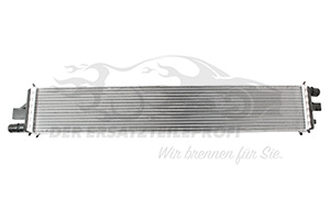 Wasserkühler 214C10001R