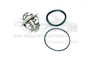 Thermostat 79°C