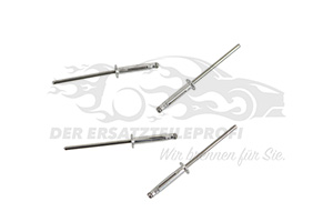 620100570R Stoßstange vorne lackierbar (NEX) Renault