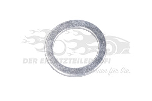 N0138493 Dichtring Ölablaßschraube (VPE100) 