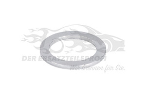 N0138493 Dichtring Ölablaßschraube (VPE100) 