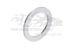 N0138493 Dichtring Ölablaßschraube (VPE100) 