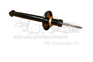 Stoßdämpfer hinten