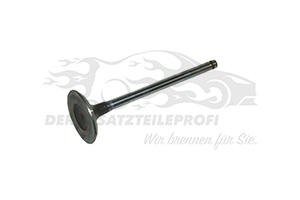 Einlassventil 094891