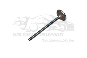 Einlassventil 094899