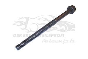 Zylinderkopfschrauben 020480