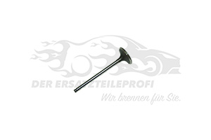 Einlassventil 094892