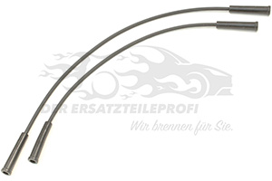 Zündkabelsatz