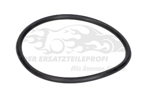 1906C0 Dieselfilter-Einsatz Mecafilter