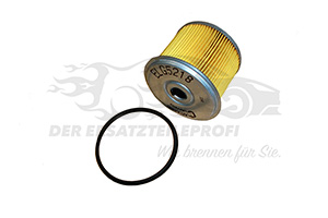 Dieselfilter (Sys.Lucas)