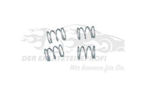 424227 Bremsenreparatursatz hinten 