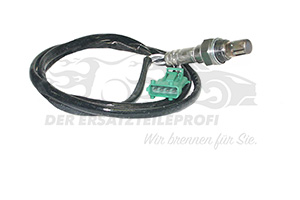 Lambdasonde vor KAT1250mm