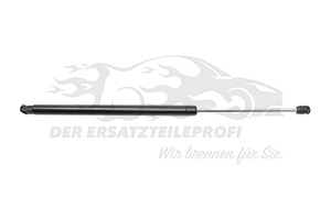 Heckklappendämpfer für Heckklappe