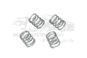 424232 Bremsenreparatursatz hinten 255x60 