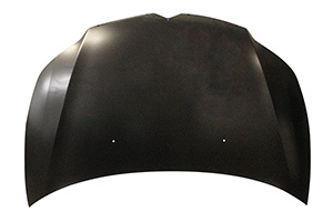 Motorhaube 7901Q6