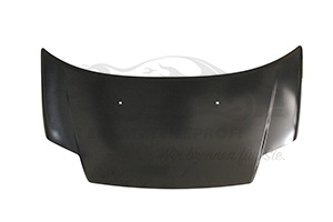 Motorhaube (NEX)
