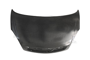 Motorhaube 7901L0