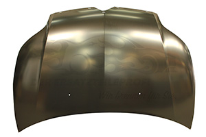 Motorhaube 7901L1