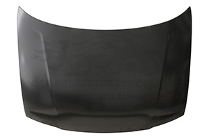 Motorhaube 7901G0