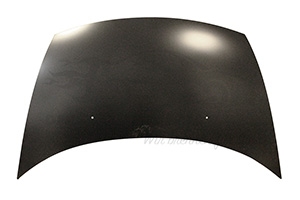 Motorhaube 7901N0