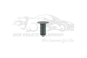 Befestigungsstopfen