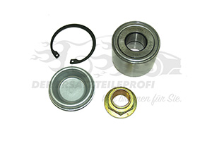 Radlager Dayco / SKF / SNR / Optibelt 374883