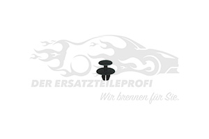 Spreizniet 