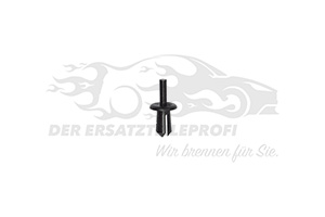 Spreizniet 