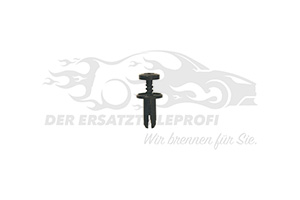Spreizniet 