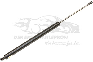 8731R9 Heckklappendämpfer 