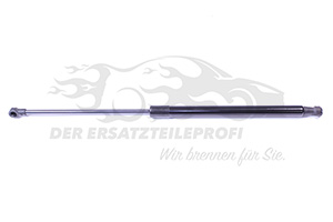 1609616580 Heckklappendämpfer 