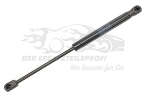 Heckklappendämpfer