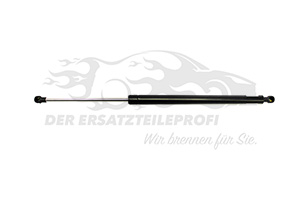 Heckklappendämpfer