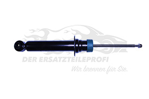 Stoßdämpfer vorne