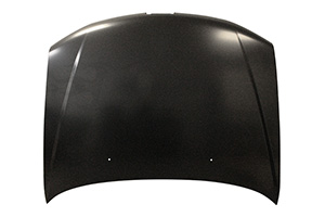 Motorhaube (NEX)