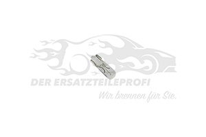 NV Glühlampe (VPE 10 Stück) 