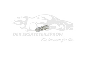 NV Glühlampe (VPE 10 Stück) 