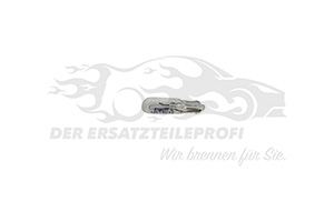 NV Glühlampe (VPE 10 Stück) 