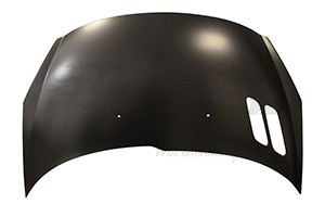 Motorhaube 7901R5