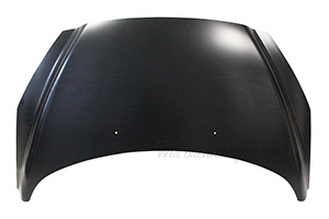 Motorhaube 7901P6