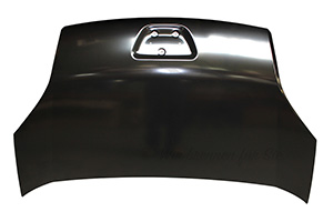 Motorhaube 7901Q0
