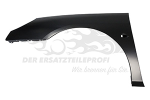 Kotflügel links
