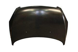 Motorhaube 7901J0