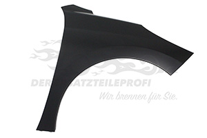 Kotflügel rechts (NEX)