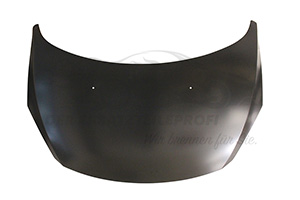 Motorhaube 7901L9
