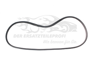 Türdichtung Renault 7700843121