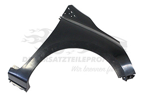 Kotflügel 631002841R