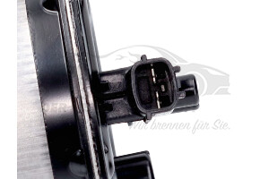 164005420R Dieselfilter Renault