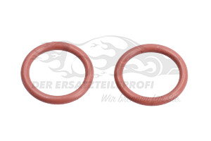 164005420R Dieselfilter Renault